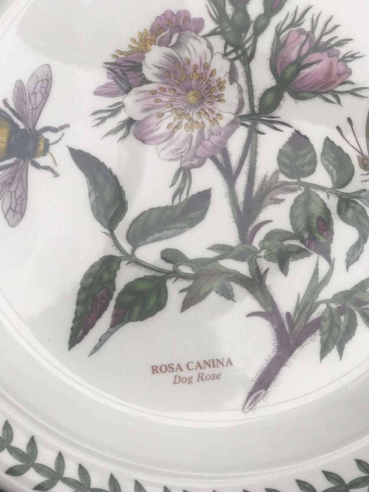 Portmeirion Botanica Salad Plate 70s Botanic Garden Entremets Dessert Plate Rosa Canina Dog Rose Made In England China Replacement Spare photo furniture