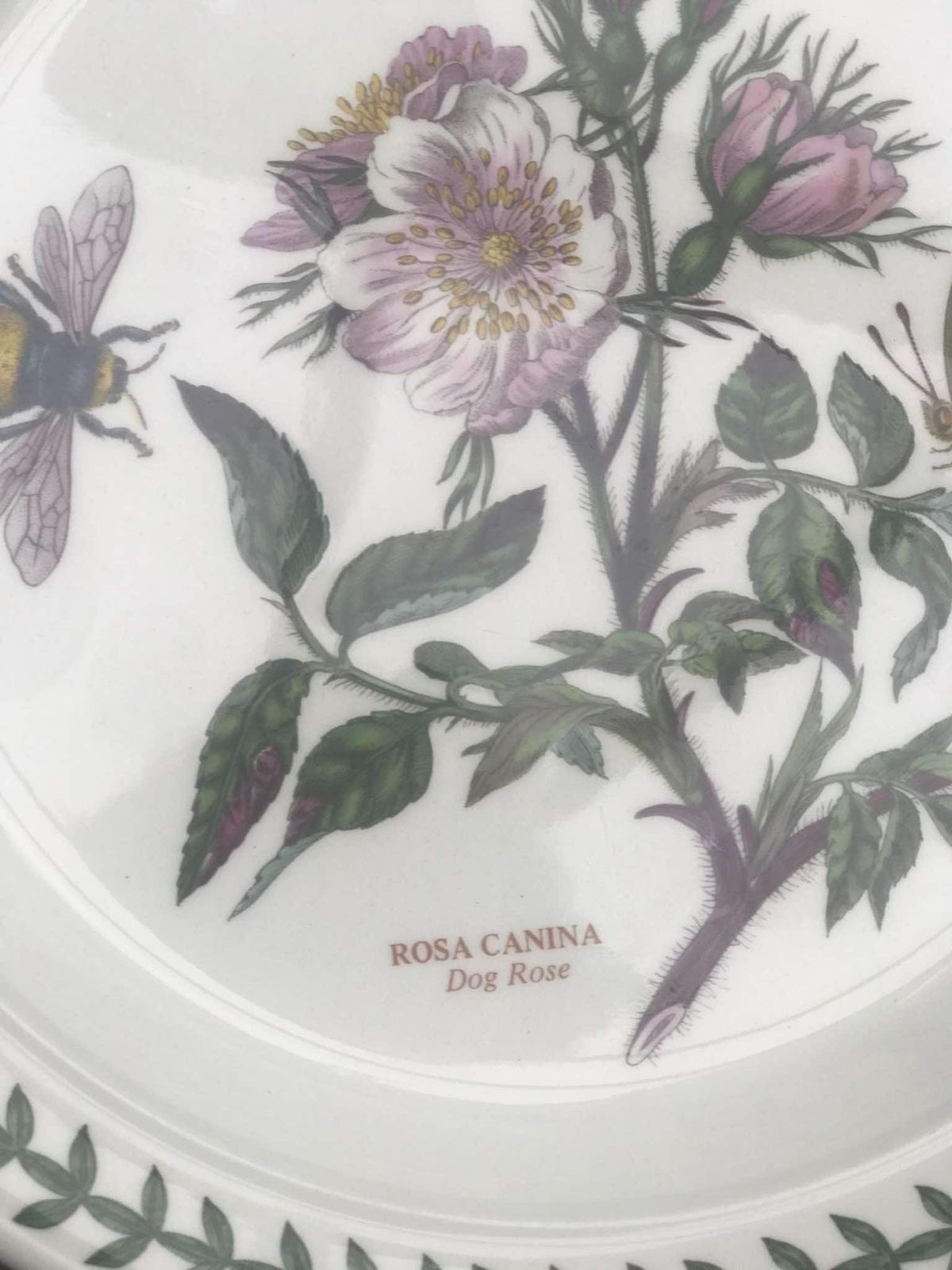 Portmeirion Botanica Salad Plate 70s Botanic Garden Entremets Dessert Plate Rosa Canina Dog Rose Made In England China Replacement Spare photo Home Decor