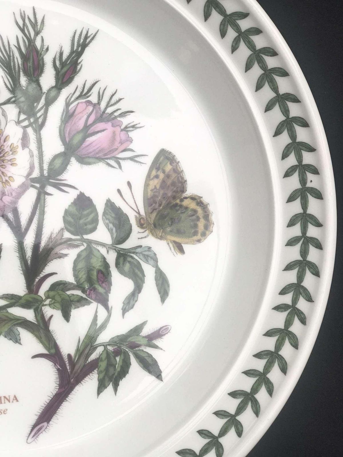 Portmeirion Botanica Salad Plate 70s Botanic Garden Entremets Dessert Plate Rosa Canina Dog Rose Made In England China Replacement Spare photo vinterior