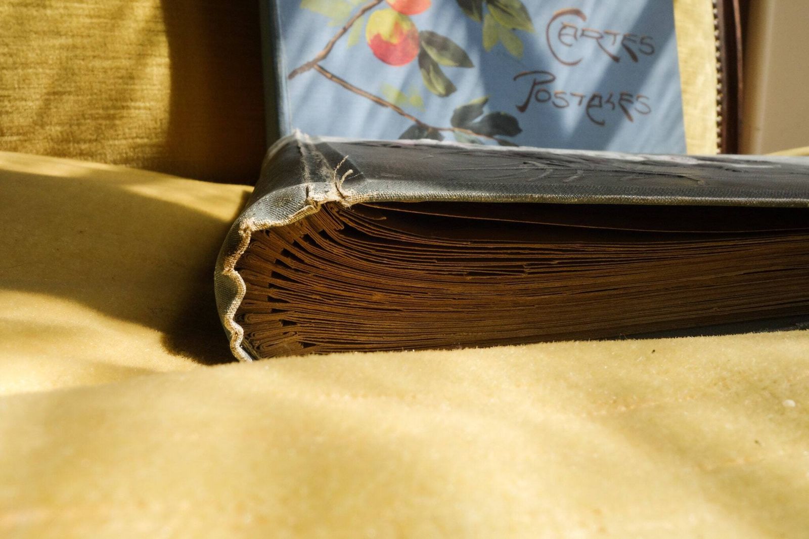 Art Deco French Post Cards Album photo buy