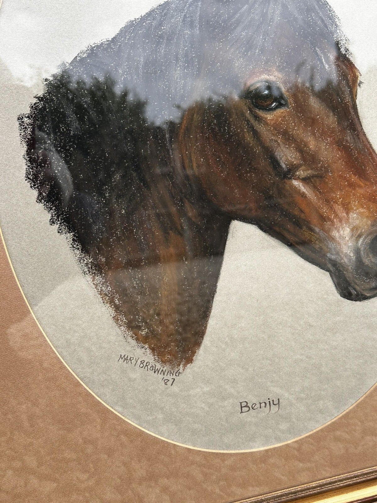 Mary Browning Original Signed Pastel Art  Benjy The Horse 63cm By 52.5cm photo for sale