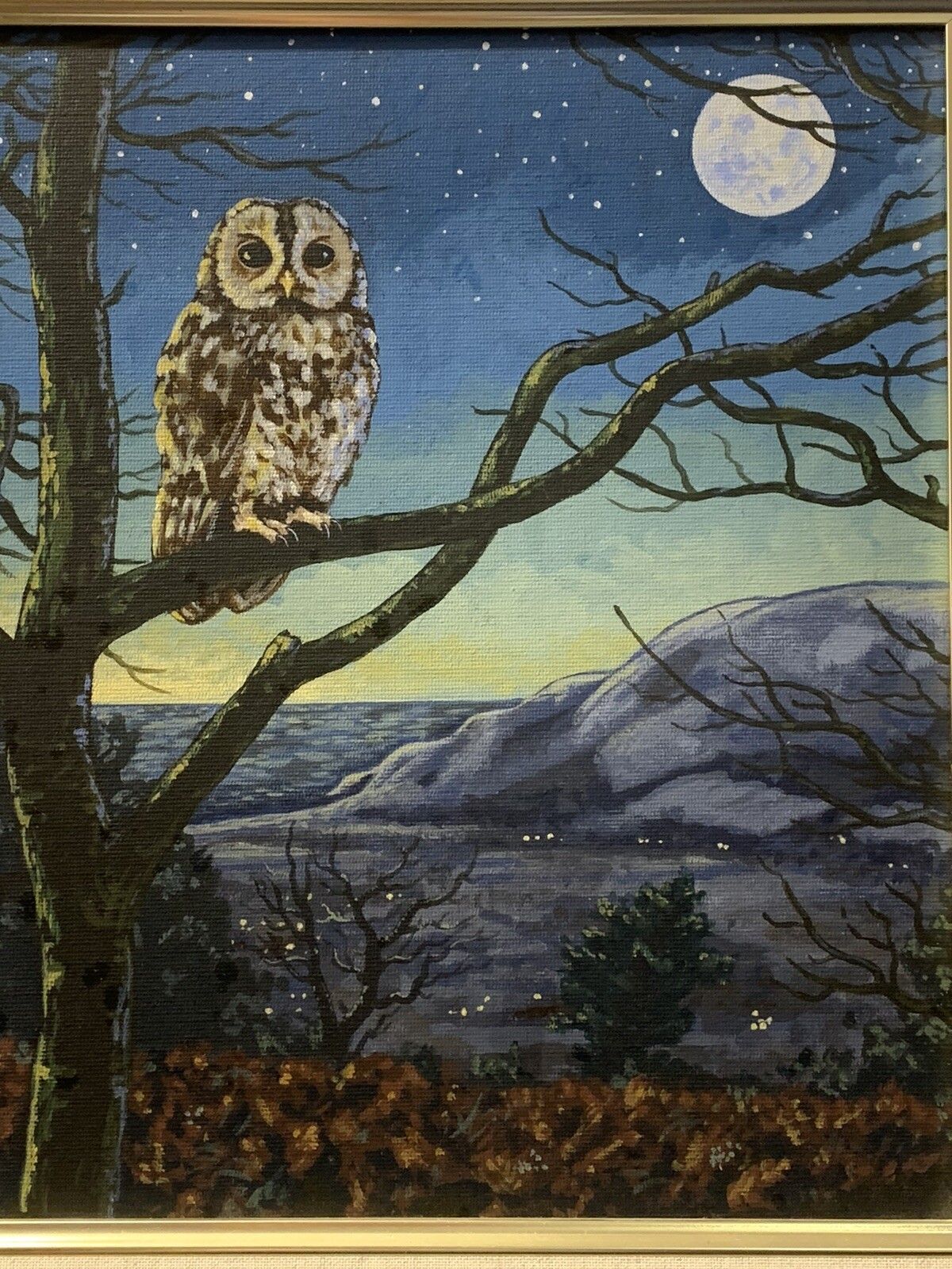 Painting On Canvas “ Moonlight Over Potlock” By Richard G Hill Owl Scene photo for sale