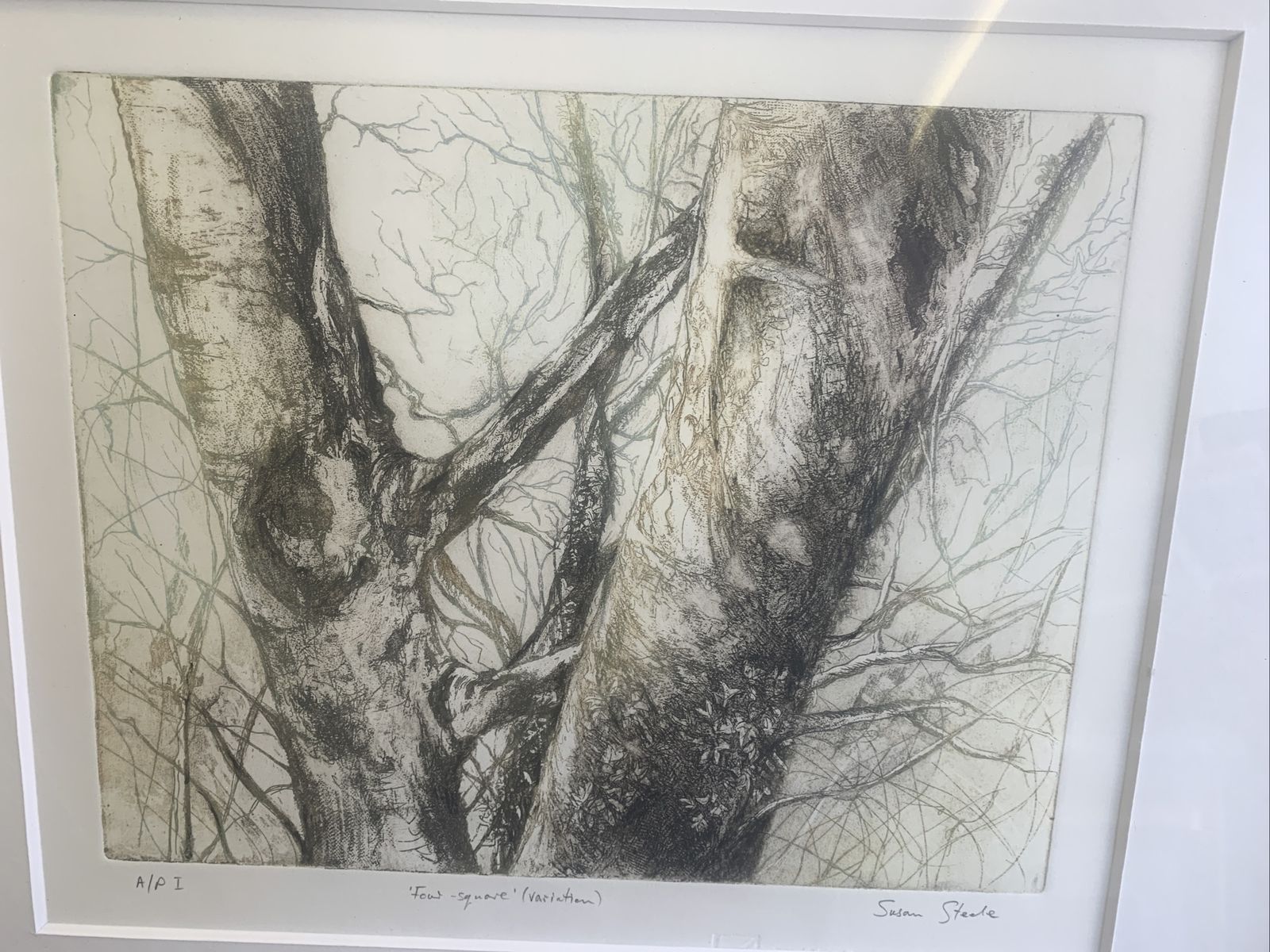 Original Artist Proof Susan Steele Etching And Aquatint Signed And Framed photo for sale