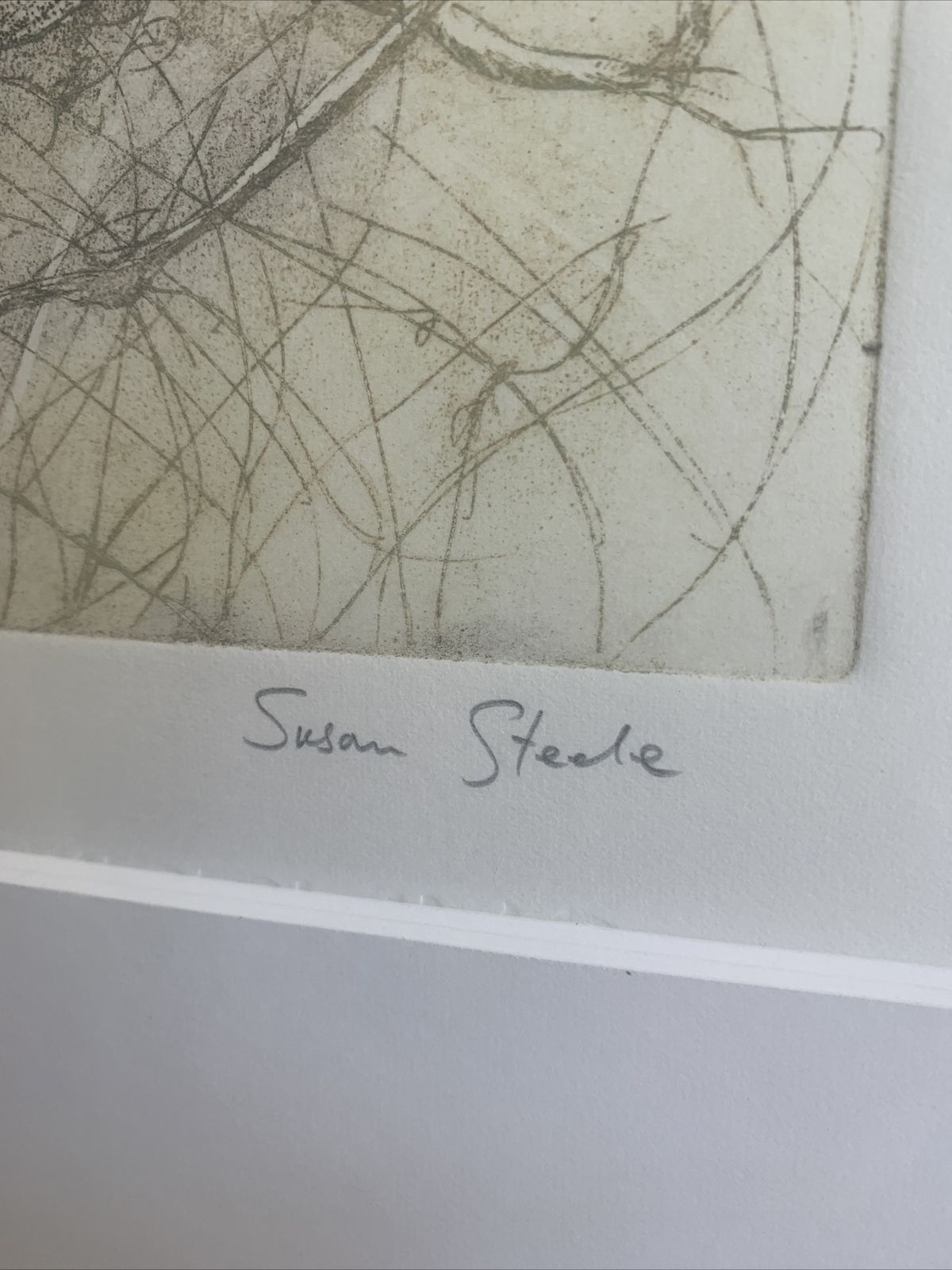 Original Artist Proof Susan Steele Etching And Aquatint Signed And Framed photo 75.0