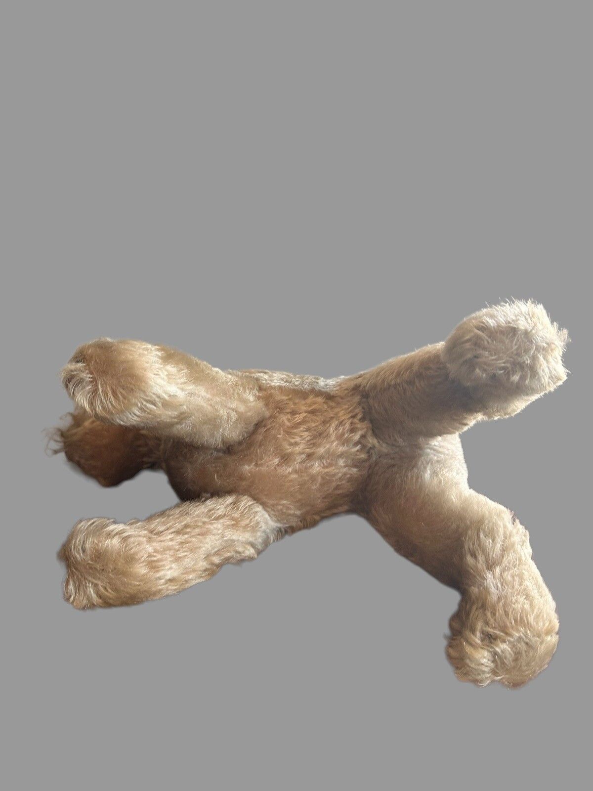 Vintage Steiff Dog Champagne Mohair Dog, Steiff 1950's , Schnauzer 12” photo vinterior