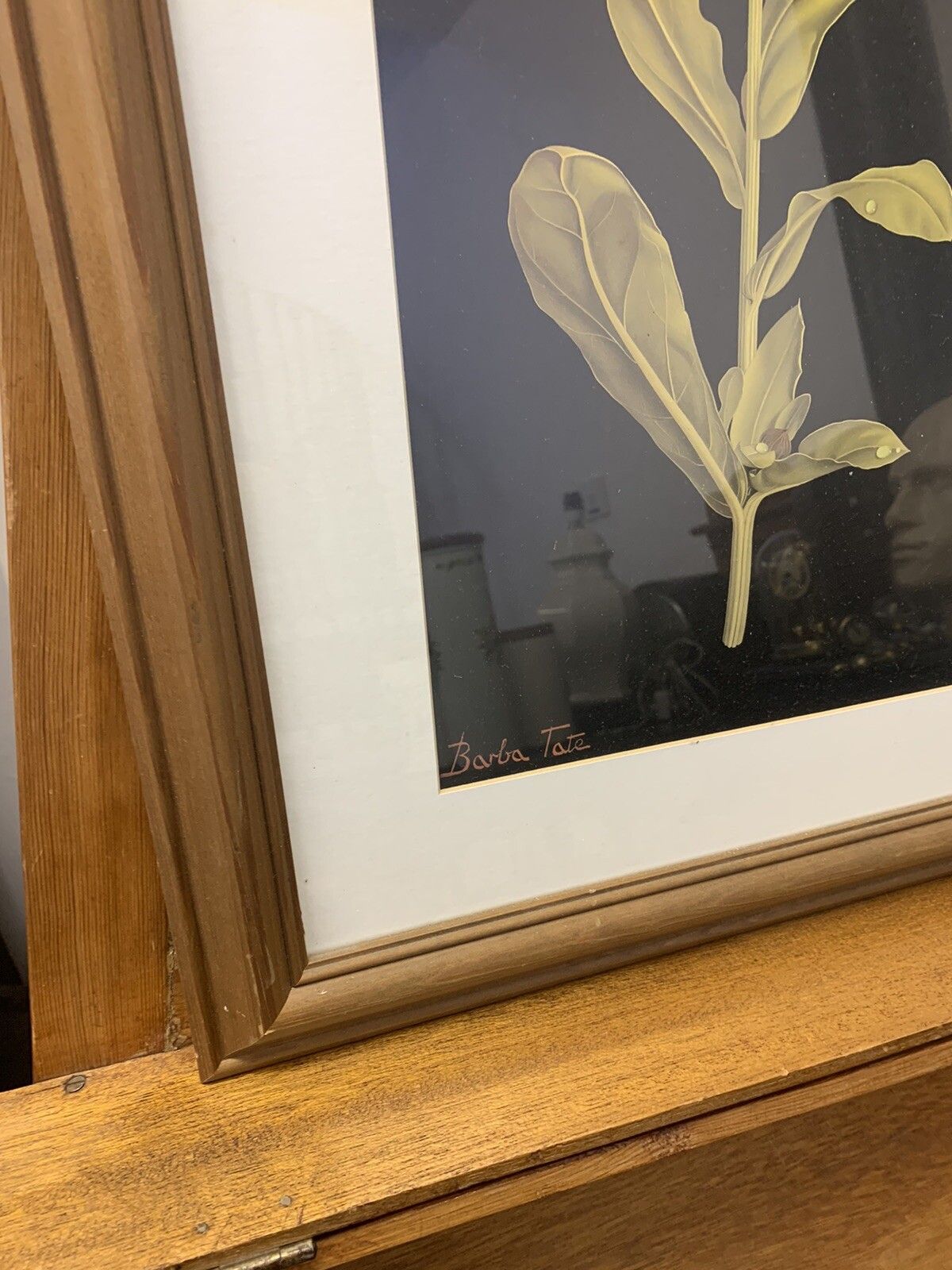 Vintage Barbara Tate ( 1927  2009)  "Still Life” Floral Print 70cm By 43cm photo Art