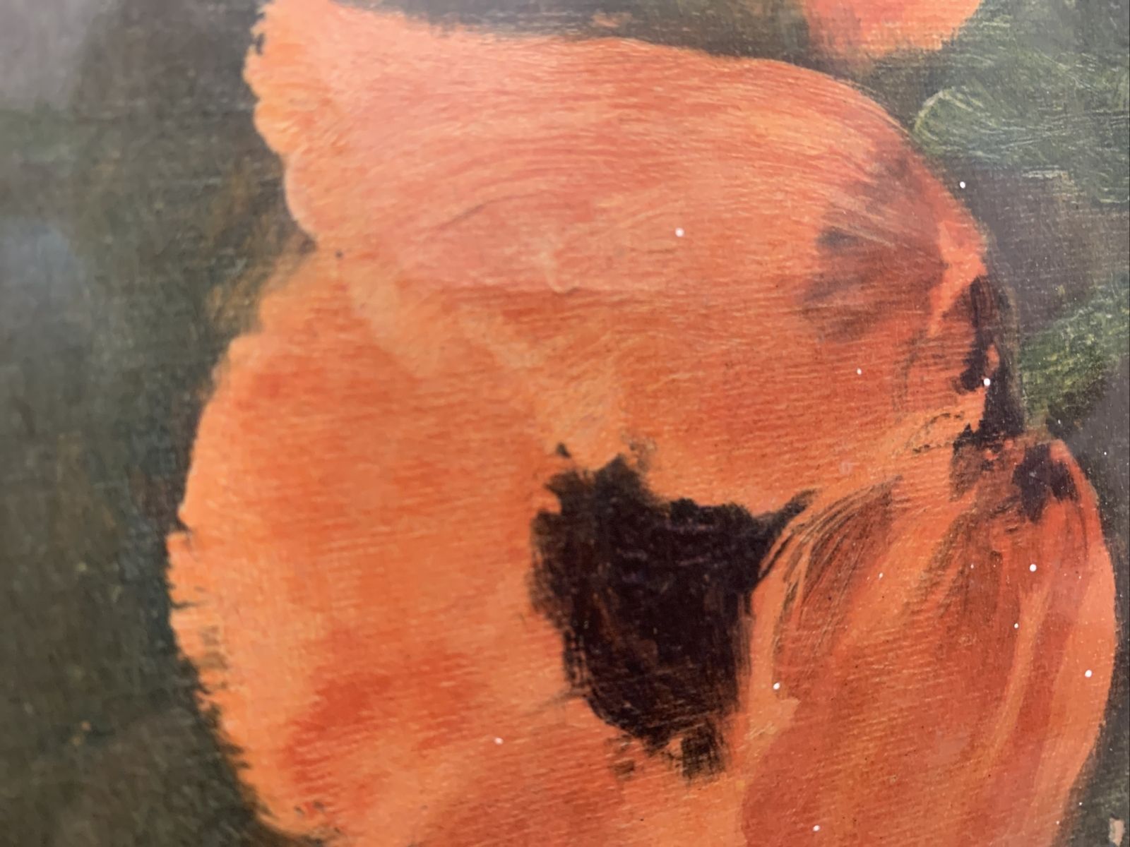 M. V. Bibra Red Poppies  Antique Painting Floral Signed Glass Flower 71x57cm photo furniture