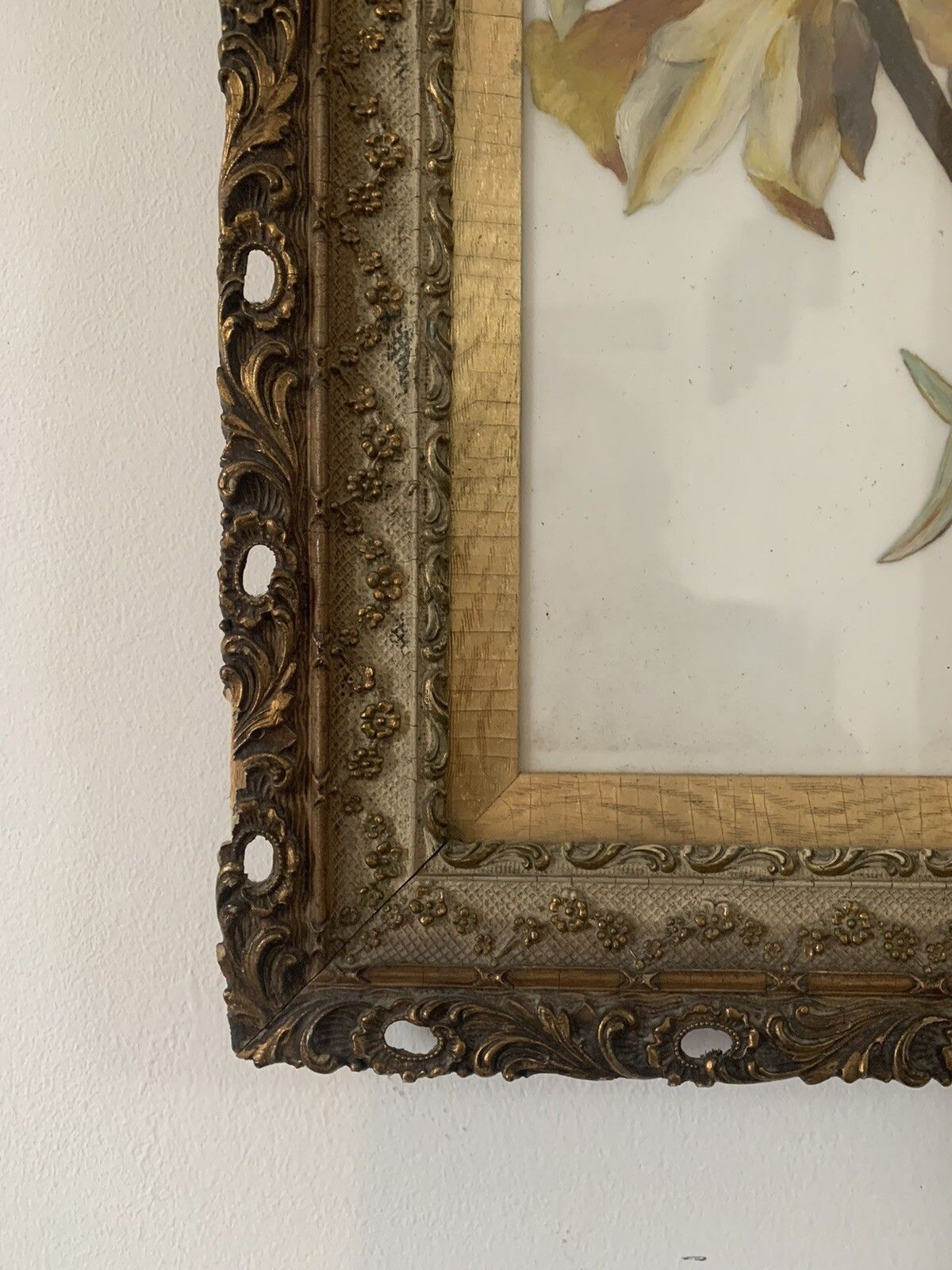 19th Century Botanical Study Flowers Painted On Porcelain / Ceramic Framed photo 165.0