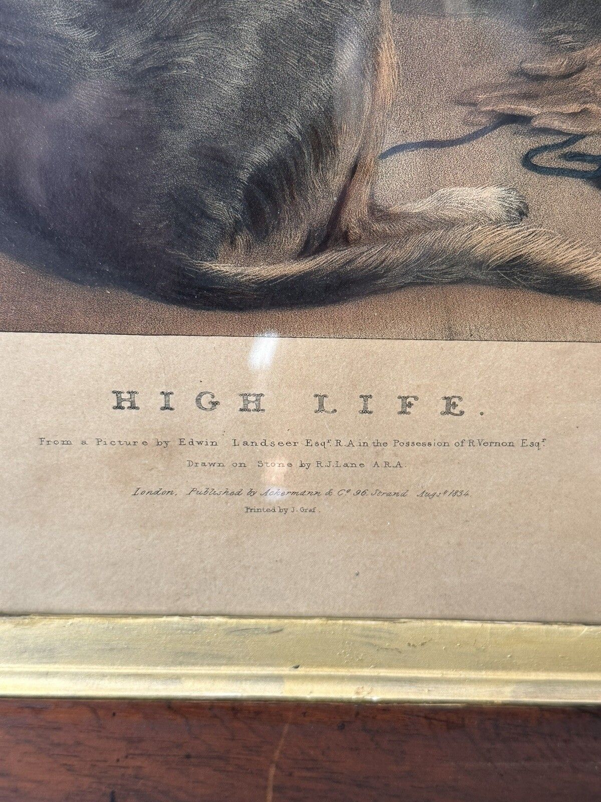 Antique Edwin Landseer  Hand Coloured Engraving, “High Life”Ackerman photo Art