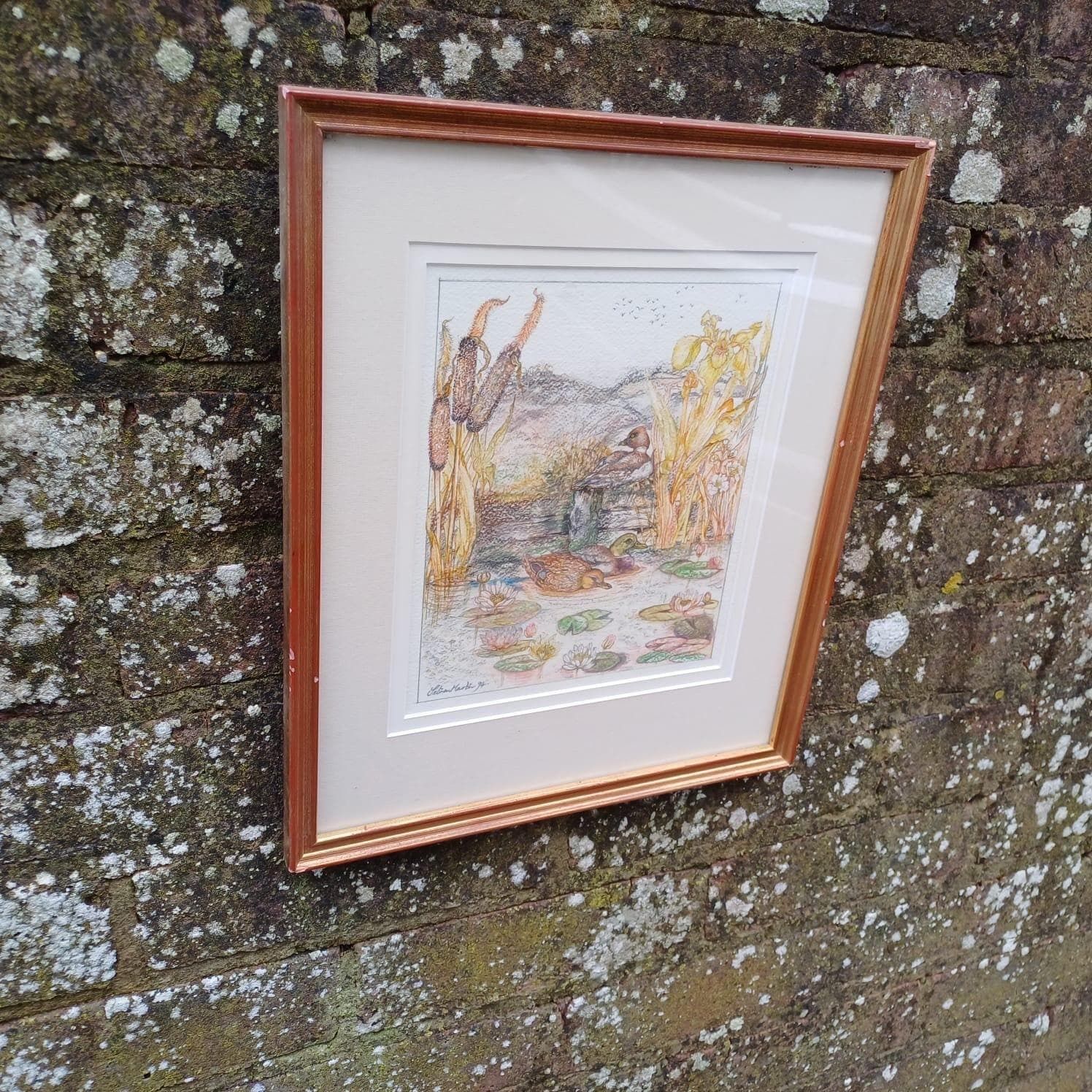 Vintage Pencil Drawing Of Ducks In A Pond, Mallards And One Other On A Pond. Countryside Pencil Sketch. Framed Vintage Sketch photo buy
