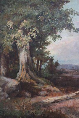 Forest Landscape, Oil Painting On Canvas, Late 19th Century, Framed photo vinterior