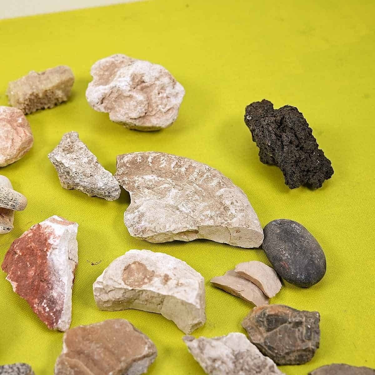 Lot Of Mixed Collectible Stones And Minerals photo for sale
