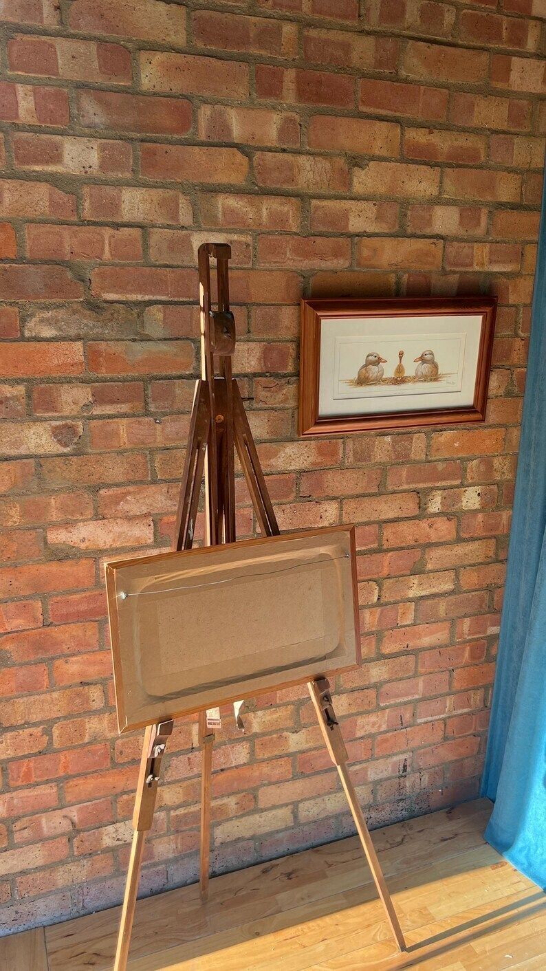 Framed Warwick Higgs ‘Frog Flora’ & ‘Odd One Out’ Illustration Reproductions– Nature Art photo vinterior