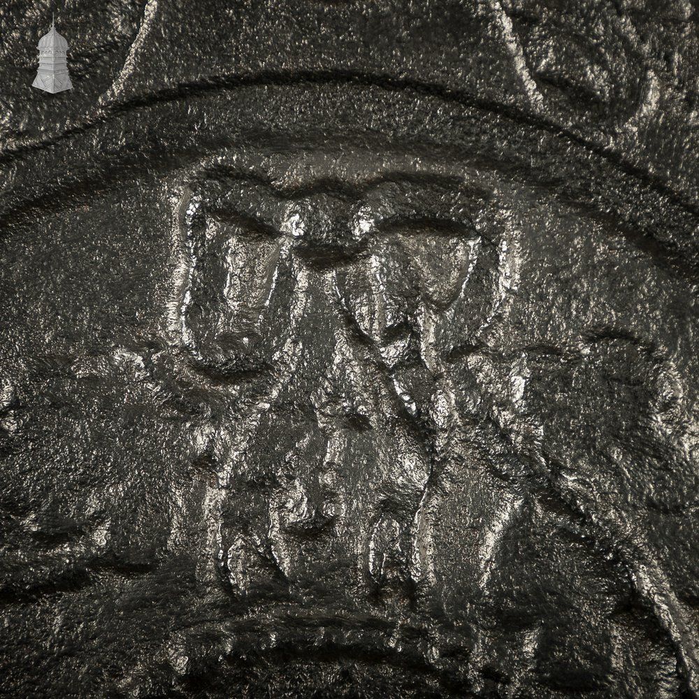 photo vinterior Large Fireback Reflector, Classical Relief Image