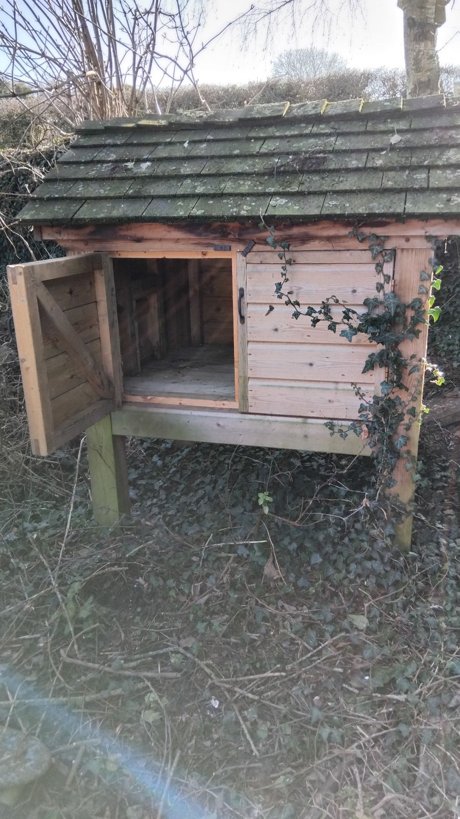 Chicken Coop / Barbecue Storage photo 1200.0