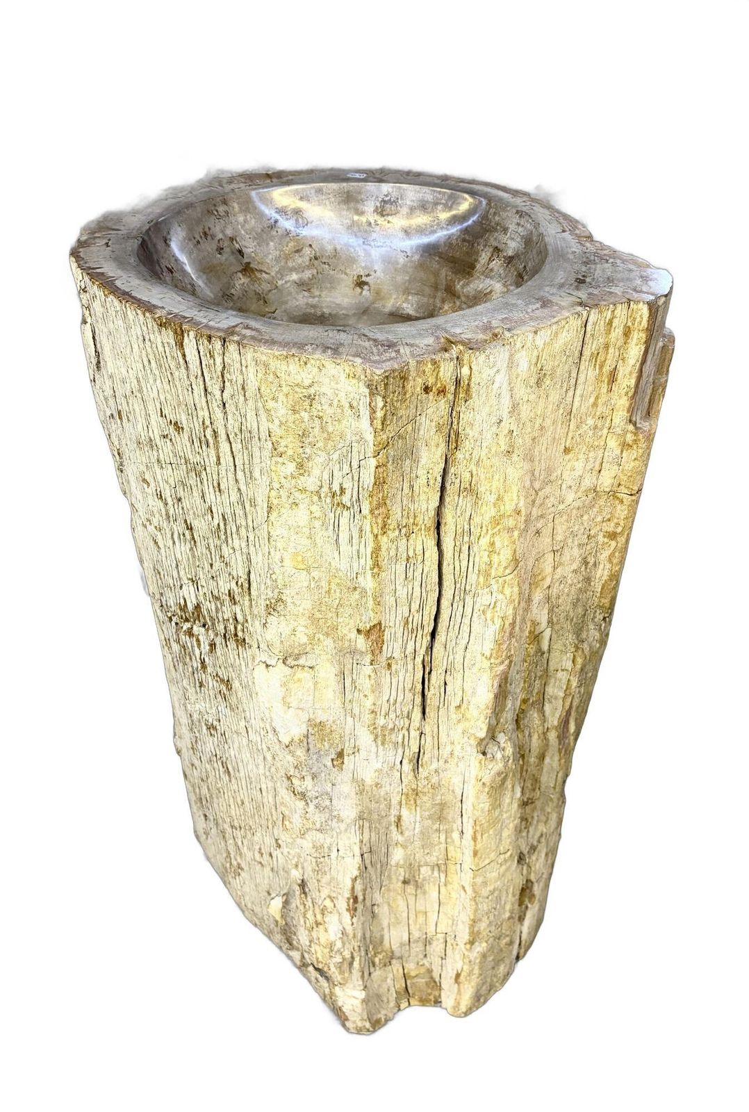 Organic Modern Petrified Wood Pedestal Sink, Idn 2025