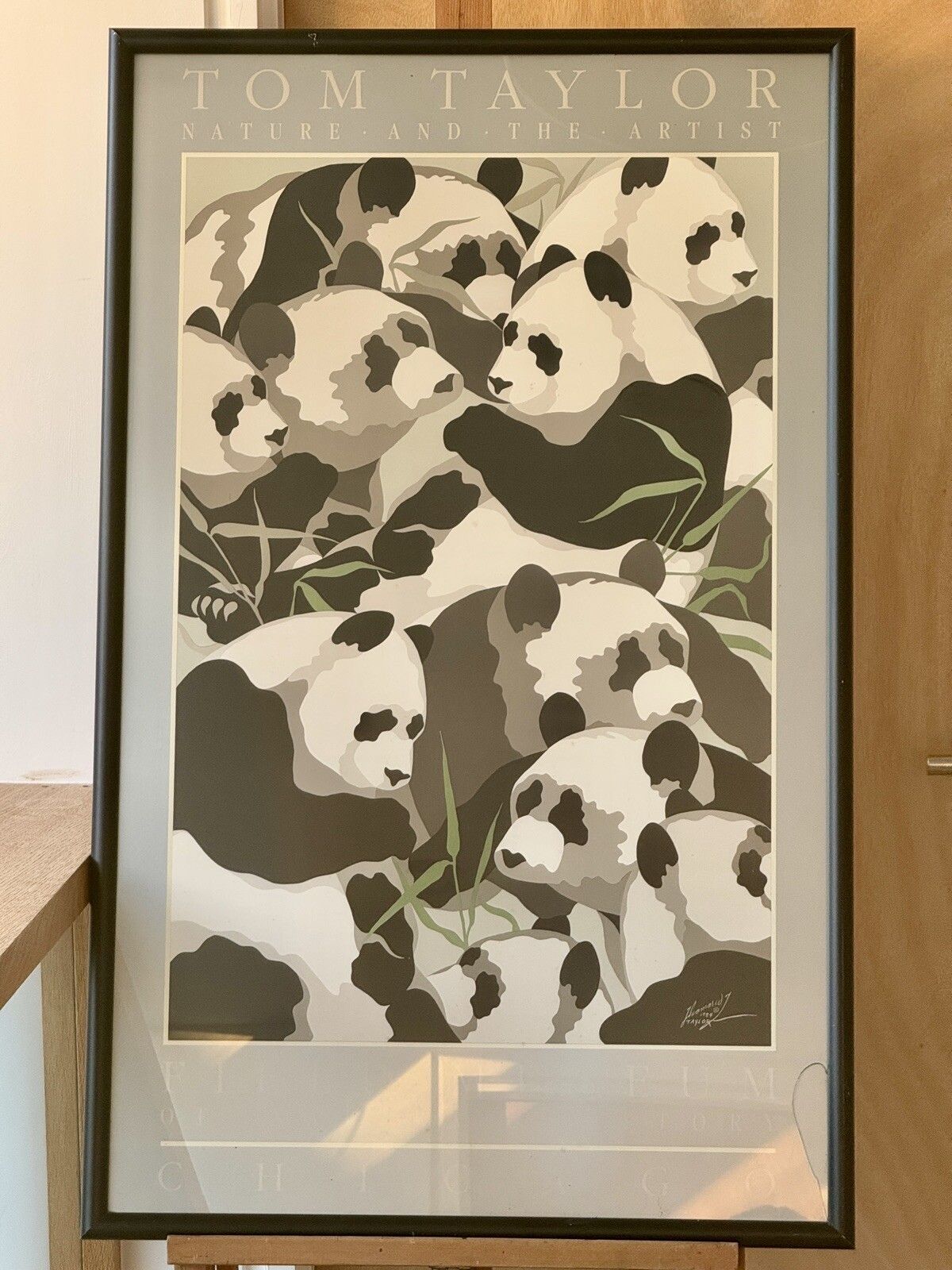 Nature And The Artist Poster  "Panda's" Tom Taylor 1980 photo for sale