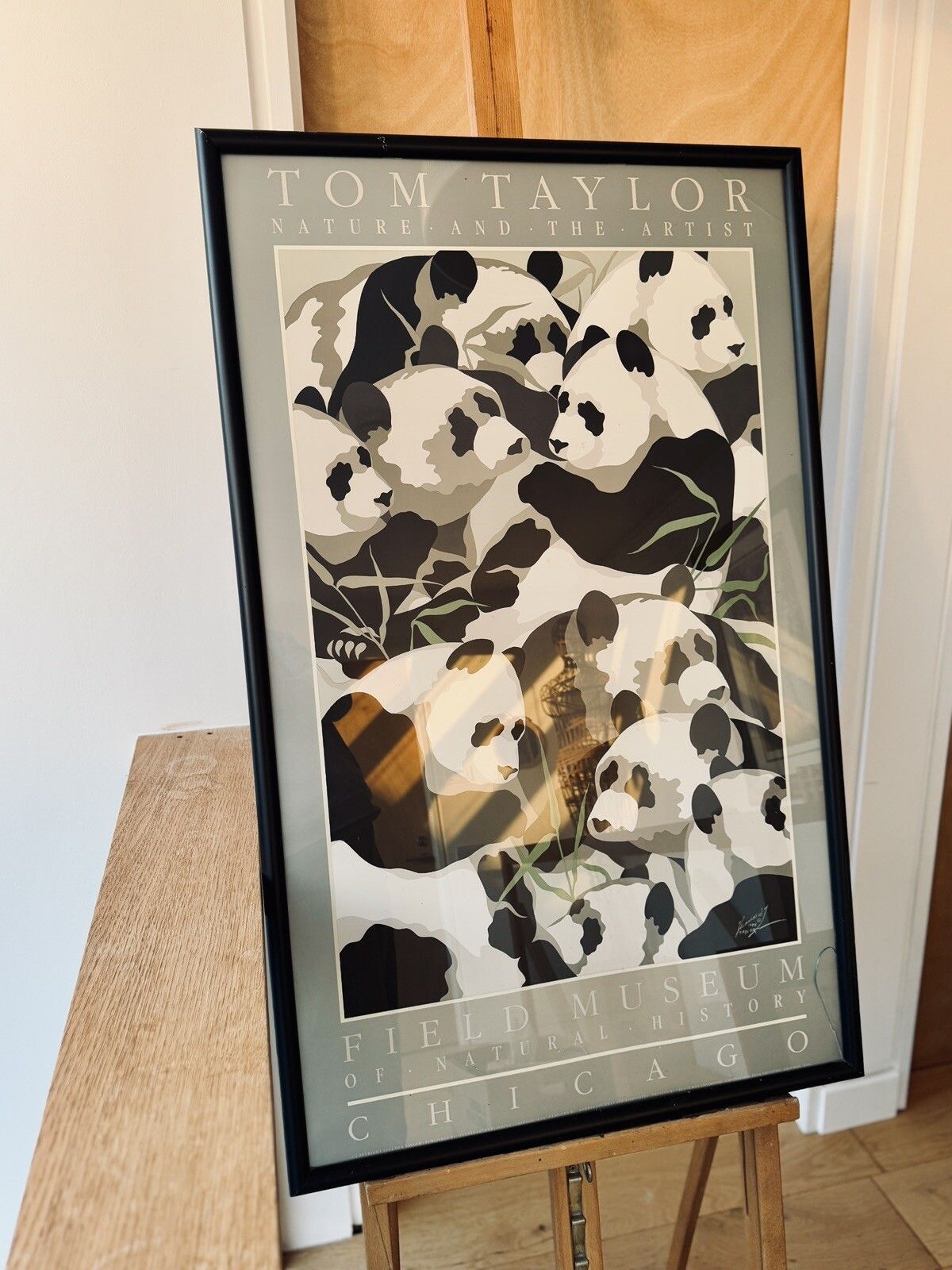 Art Nature And The Artist Poster  "Panda's" Tom Taylor 1980 photo