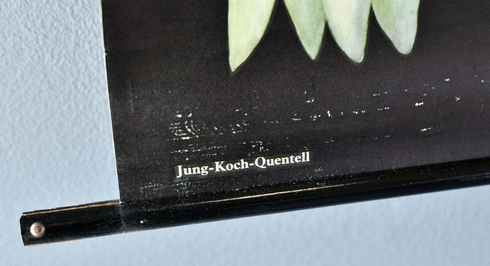 Wall Chart Of The Hedgehog By Jung Koch Quentell photo vinterior