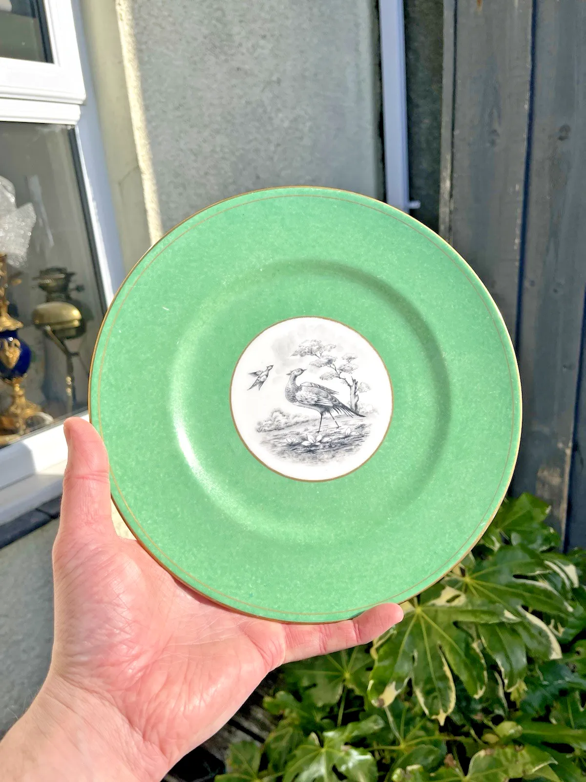 1 Antique Crown Staffordshire Pheasant Cabinet Plate For Tiffany & Co New York photo 55.0
