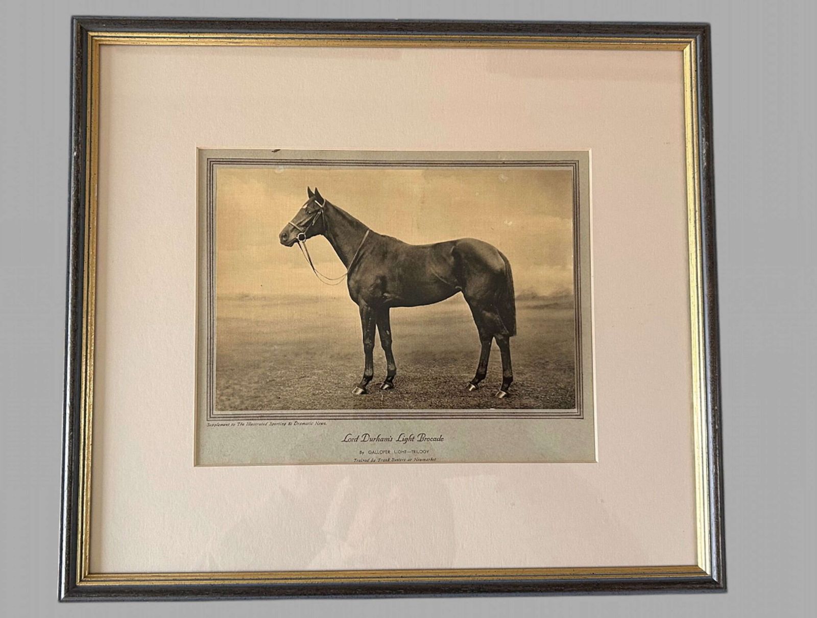 A Wonderful Set Of Eight Famous Racehorses 1933 Framed & Glazed photo furniture
