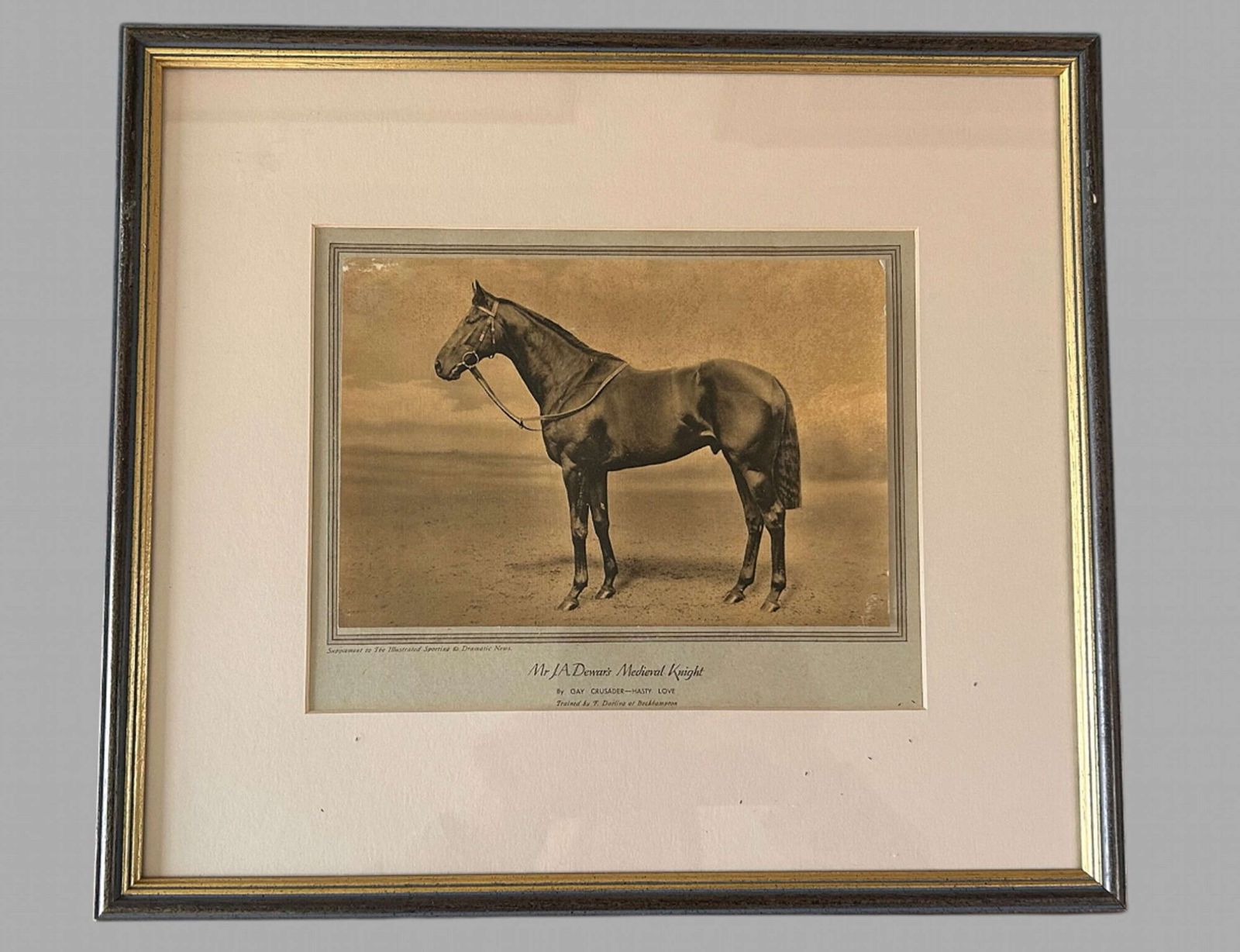 A Wonderful Set Of Eight Famous Racehorses 1933 Framed & Glazed photo Art