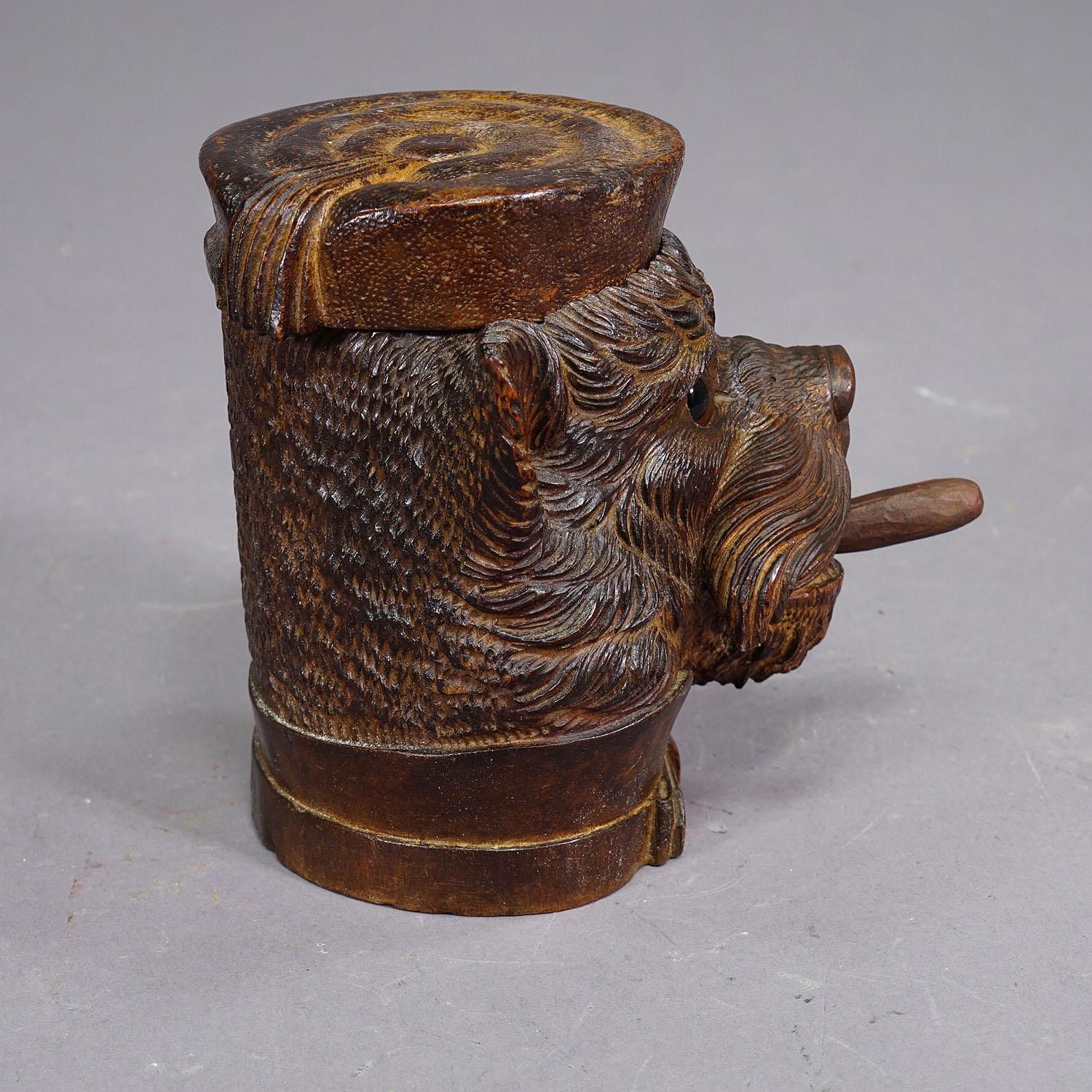 Wooden Carved Black Forest Tobacco Box Terrier Head Ca. 1900 photo 831.0
