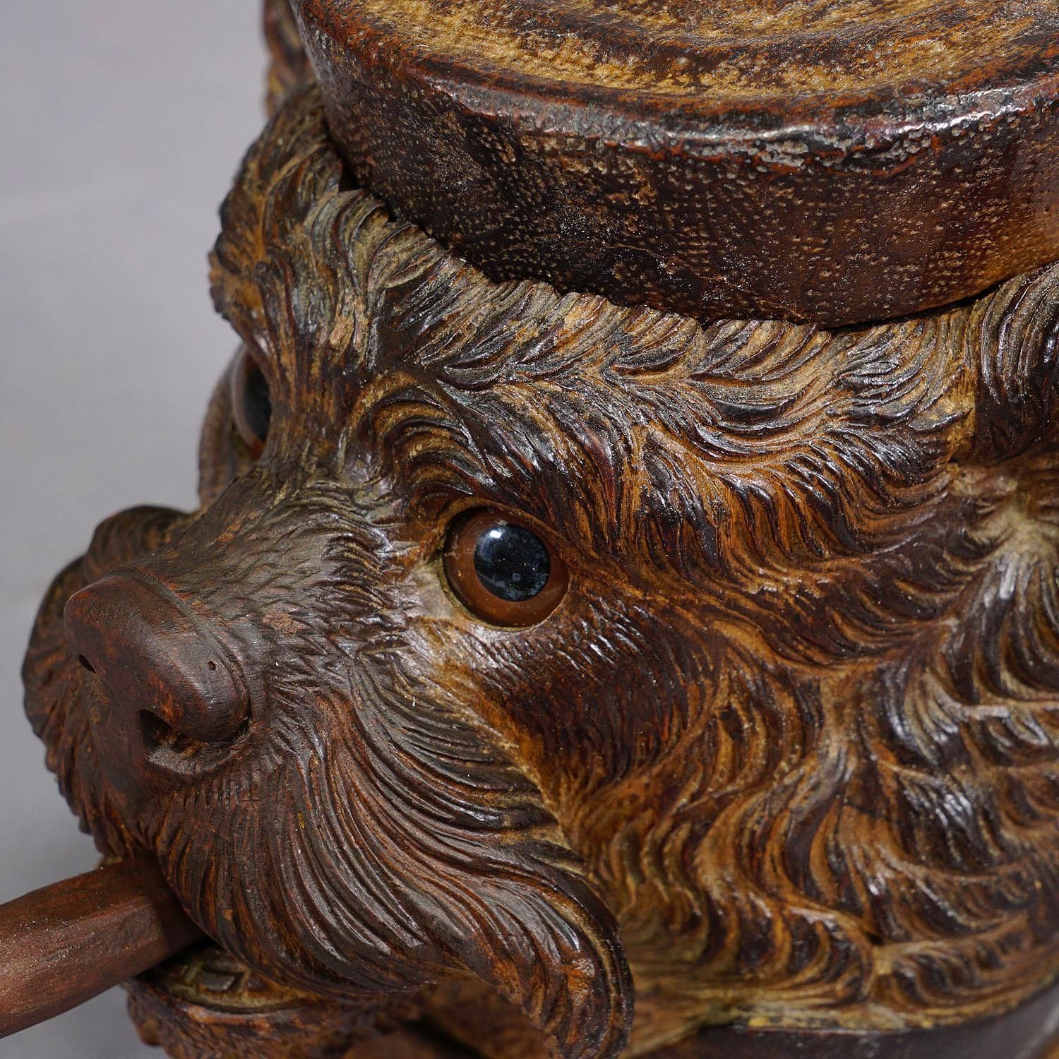 Wooden Carved Black Forest Tobacco Box Terrier Head Ca. 1900 photo buy