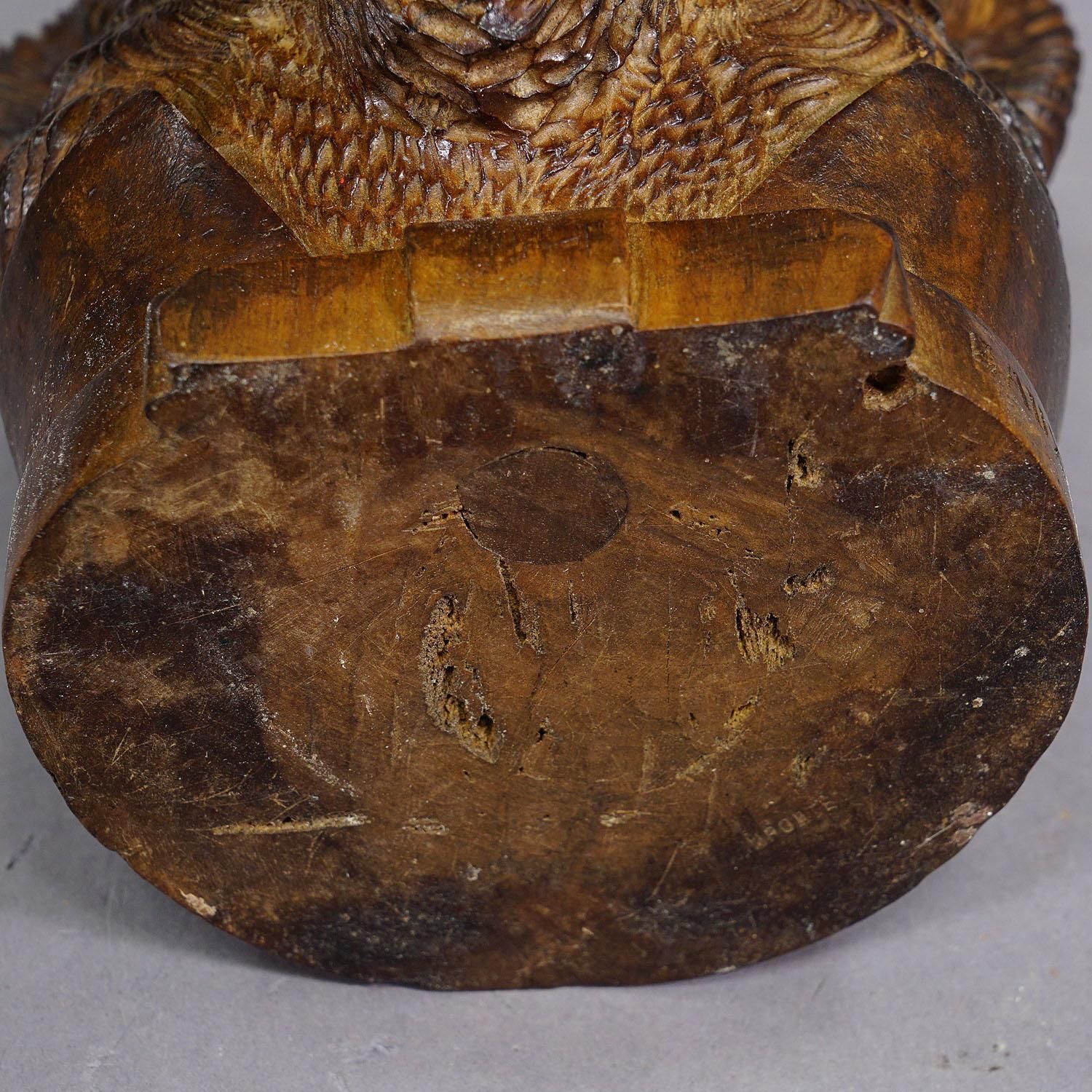 Wooden Carved Black Forest Tobacco Box Terrier Head Ca. 1900 photo vintage