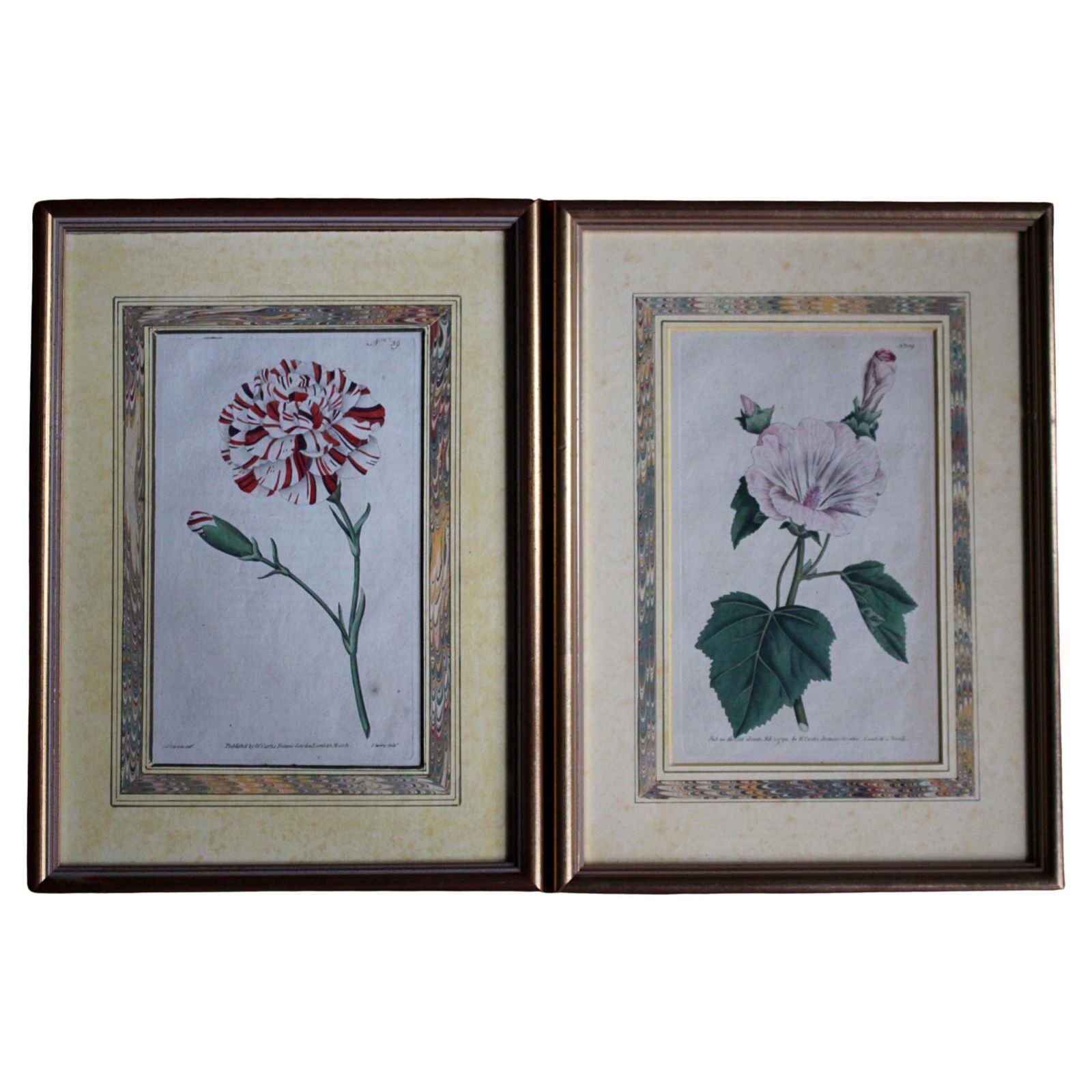 Late 18 C W.Curtis Hand Coloured Botanical Lithograph Plates Faux Marble Mounts