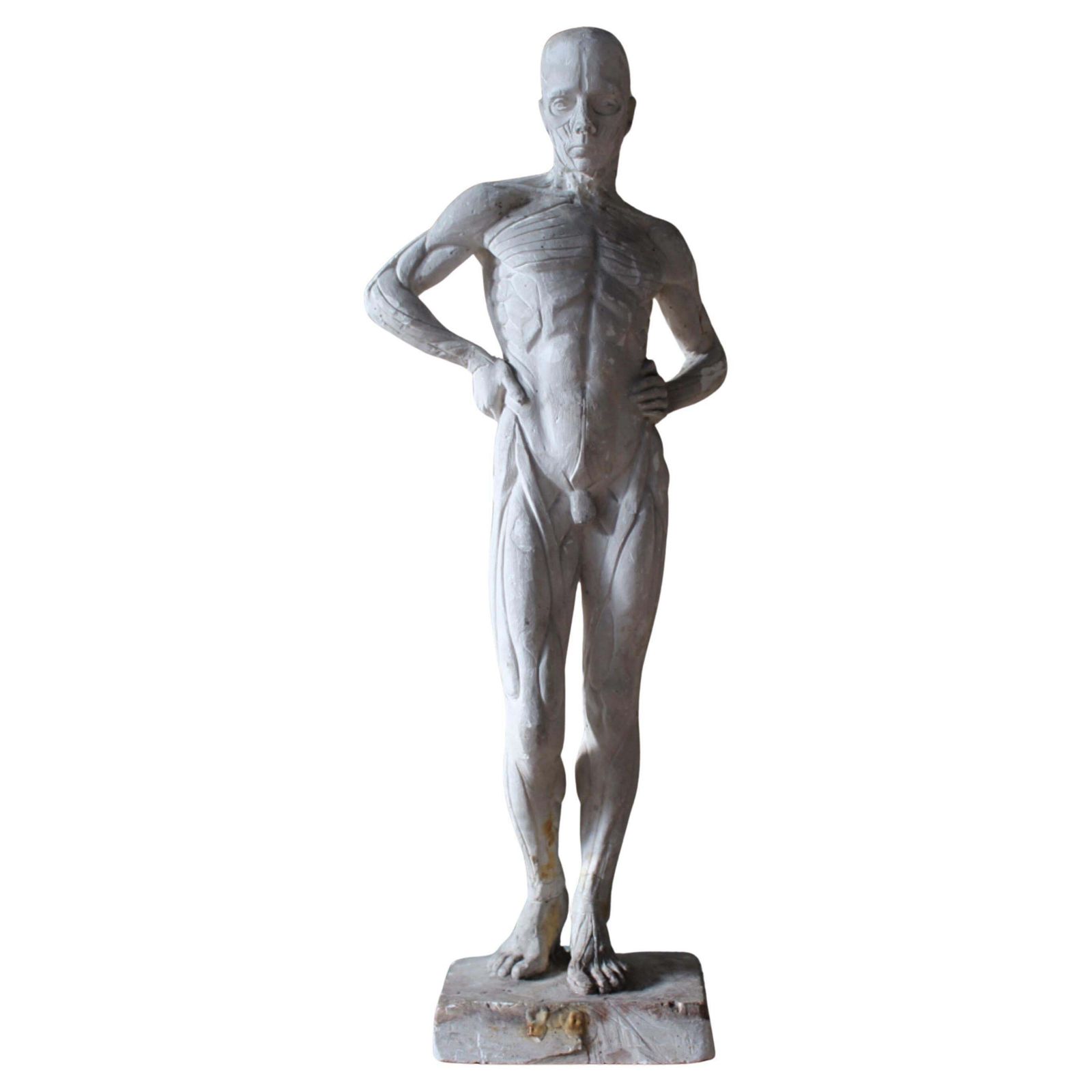 Plaster Encoche Sculpture By Mary Syme Boyd (1910 1997) Manner Of Antoine Houdon