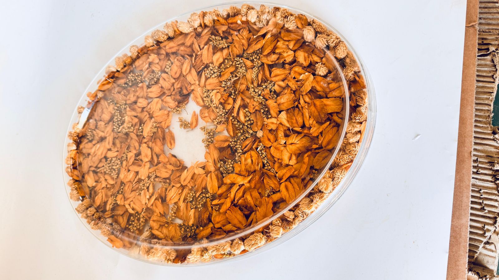 1970s Asian Hard Plastic Tray With Embedded Dried Flowers And Leaves, Oval Shape photo Home Decor