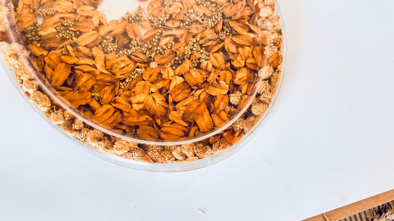 1970s Asian Hard Plastic Tray With Embedded Dried Flowers And Leaves, Oval Shape photo vinterior