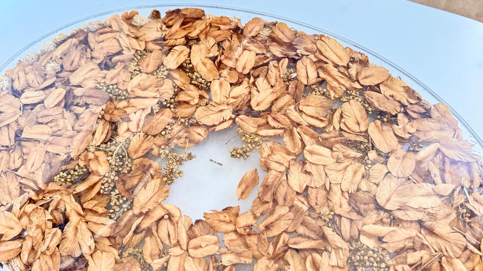 Home Decor 1970s Asian Hard Plastic Tray With Embedded Dried Flowers And Leaves, Oval Shape photo
