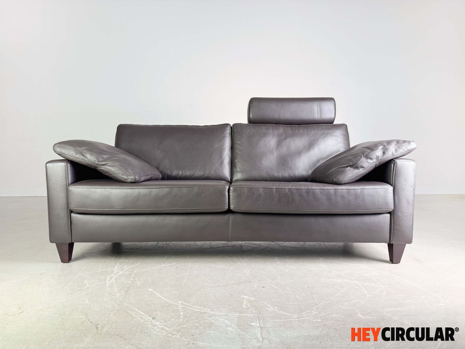 2-zits Ewald Schillig bank – leer – Concept Plus photo furniture
