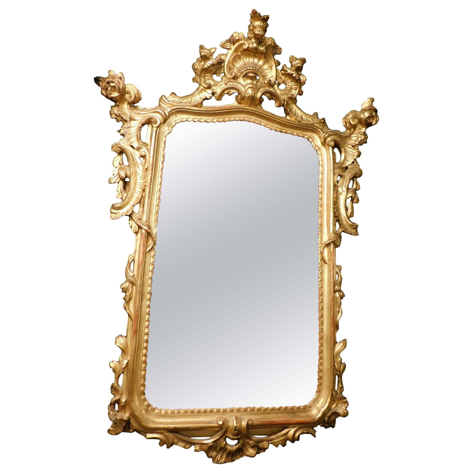 Mirror In Lacquered And Gilded Wood, Rich Cymatium Carved With Shell, Italy