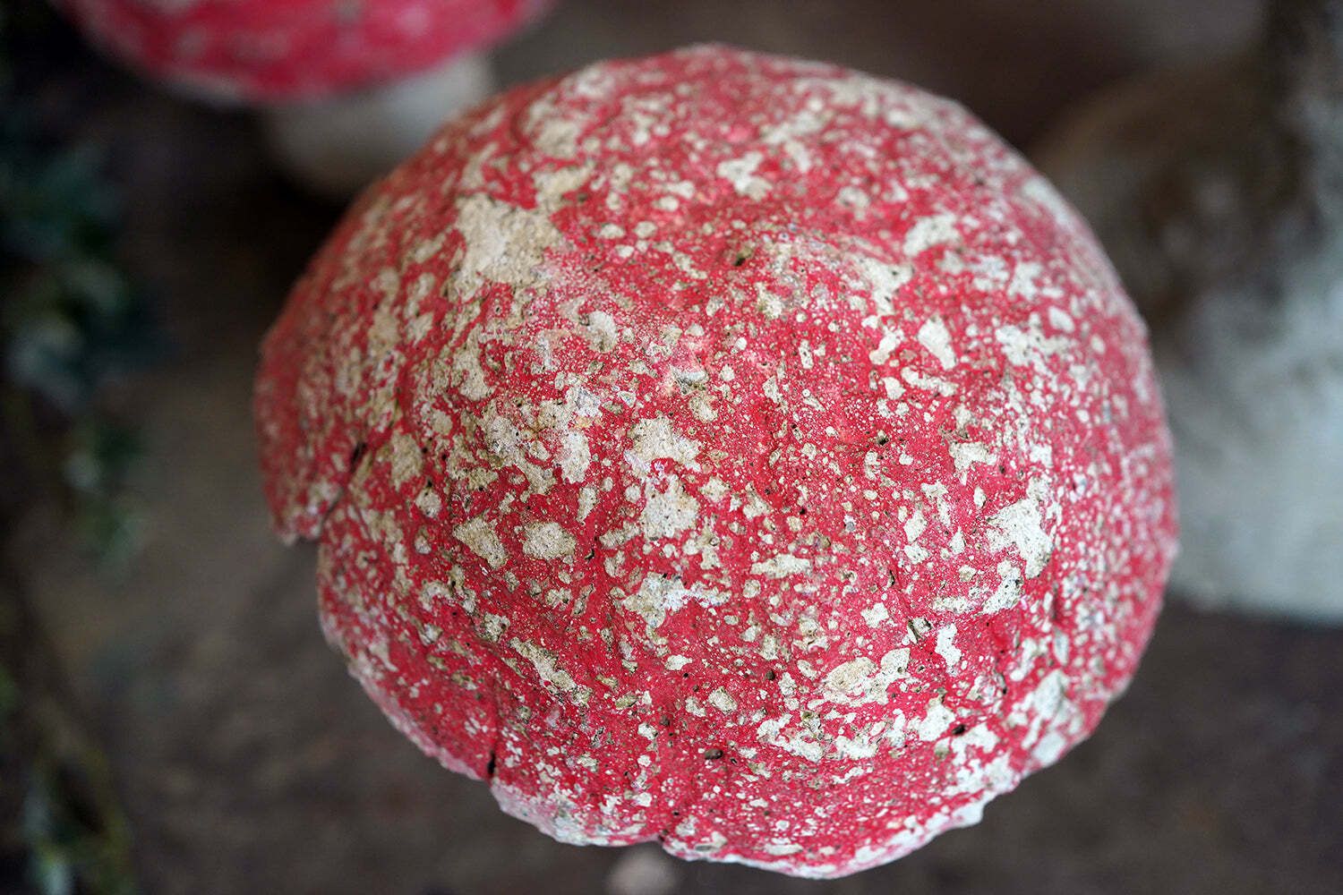 1200.0 A Group Of Four Mid 20thc French Painted Stone Garden Mushrooms C.1950 60 photo