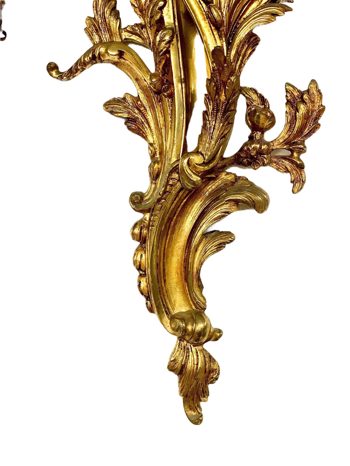 19th Century Pair Of Large Louis XV Gilt Bronze Sconces photo Lighting