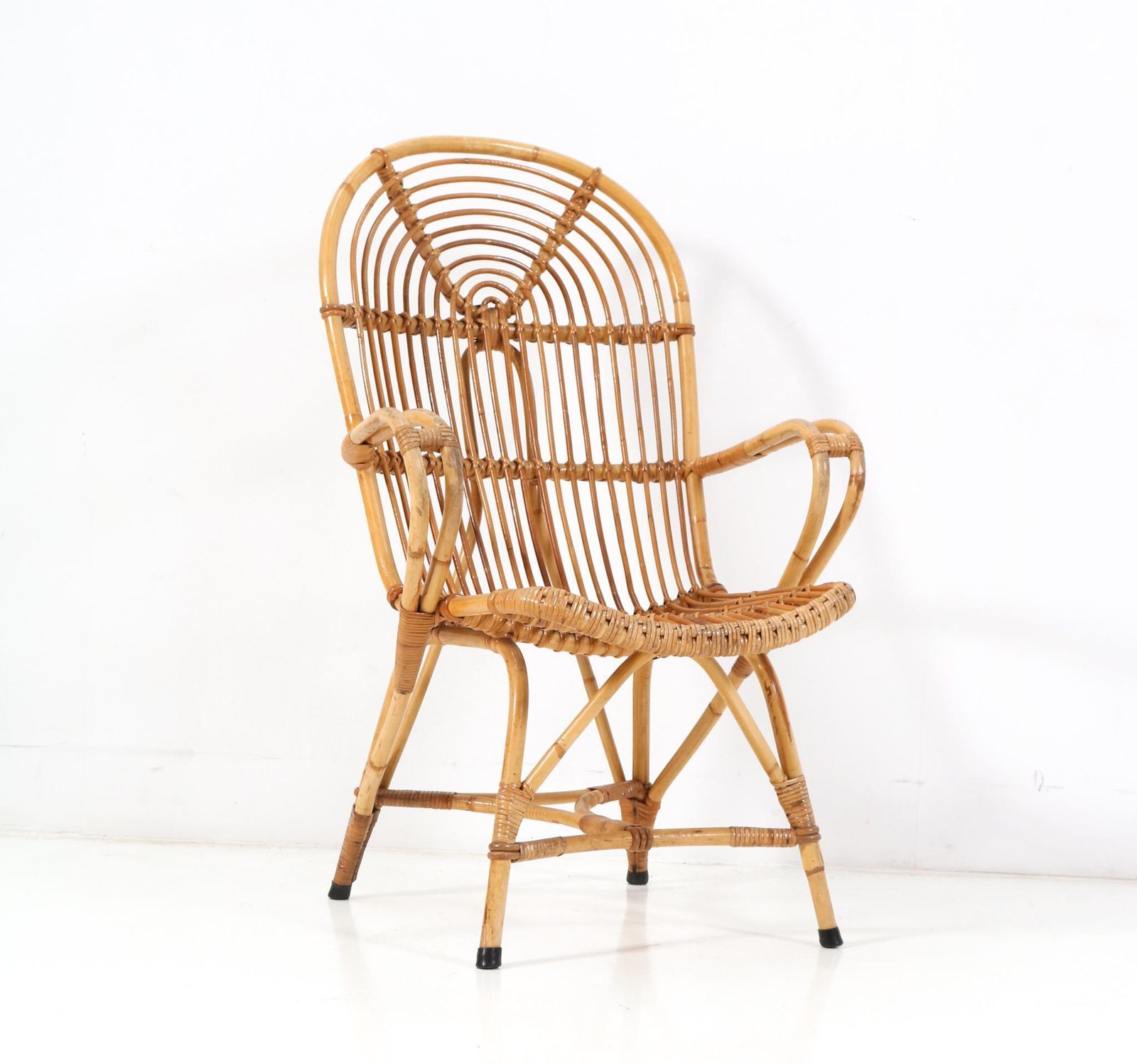 Mid Century Modern Rattan Lounge Chair, 1960s photo 775.0