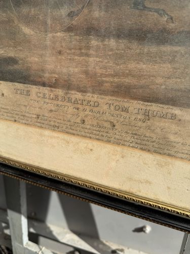 Huge  The Celebrated Tom Thumb By F.C.Turner 1772 1846 Engraved H.Pyall Framed photo furniture