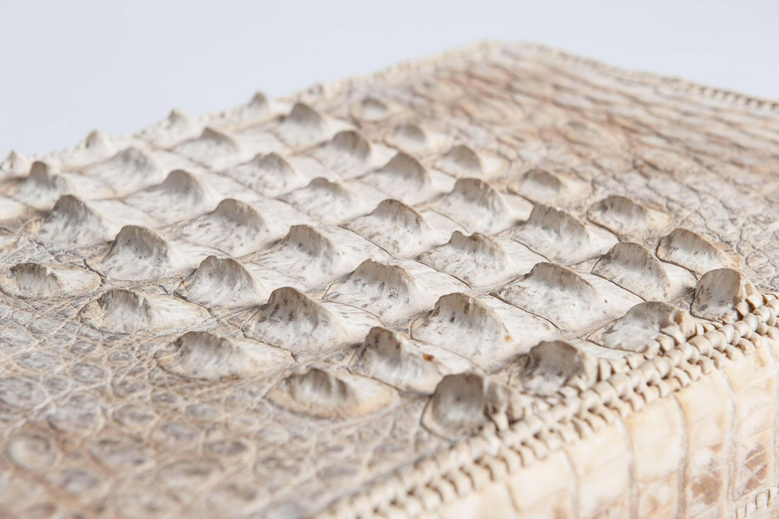 Unique French Art Déco Picnic Case Creme White Hornback Croco Leather 1930s photo 2407.0