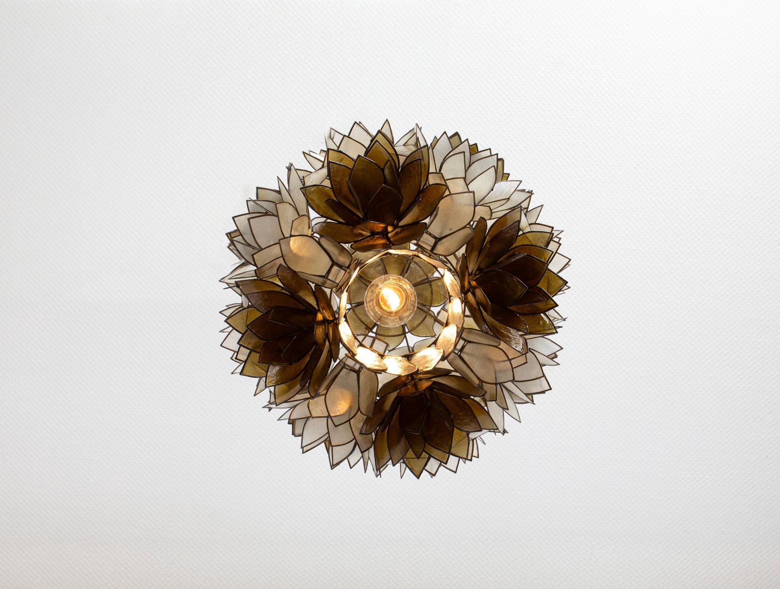 1 Van 6 – Capiz Schelp Lotusbollamp, Duitsland, Ca. Jaren 1960 photo Verlichting