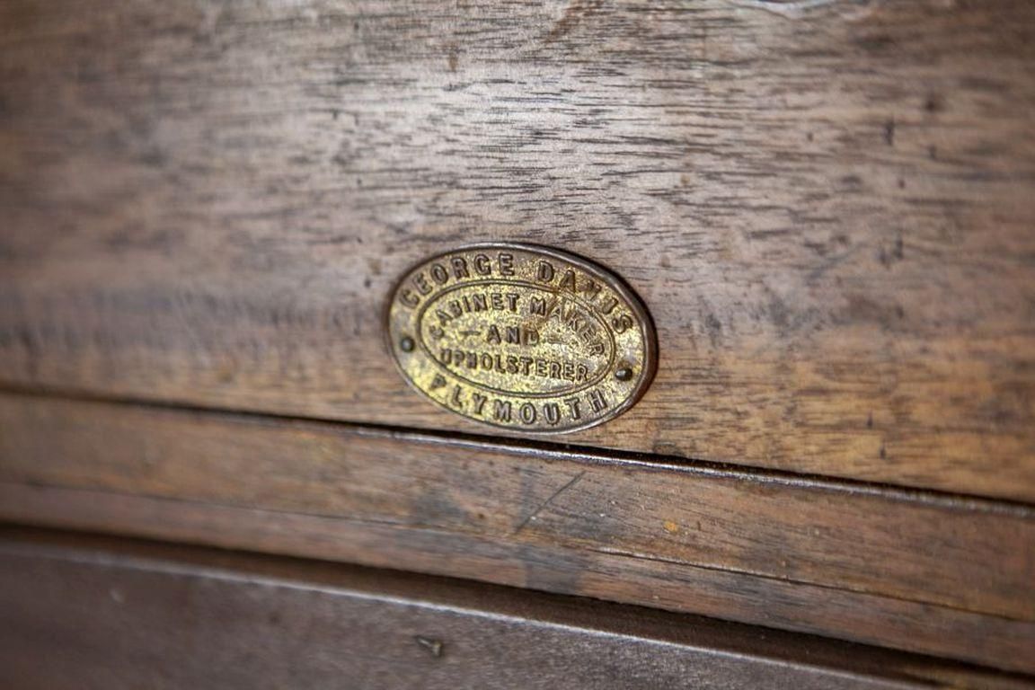 1677.0 19th Century Small Walnut Cabinet With The Motif Of Sunflowers By George Davis photo