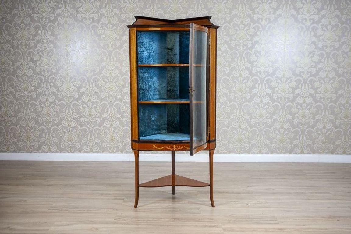 Late 19th Century English Corner Cabinet In Brown photo furniture