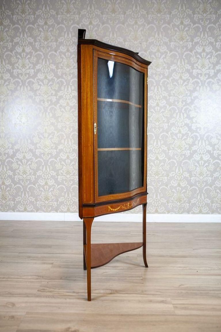 Late 19th Century English Corner Cabinet In Brown photo for sale
