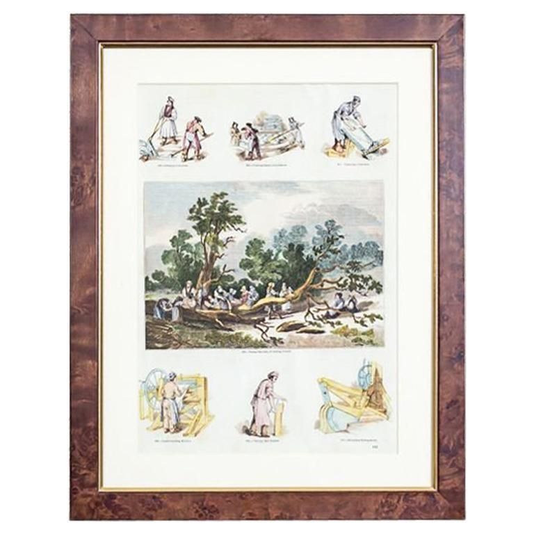 Vintage Print Illustration Of Old Crafts, Tanning, Framed