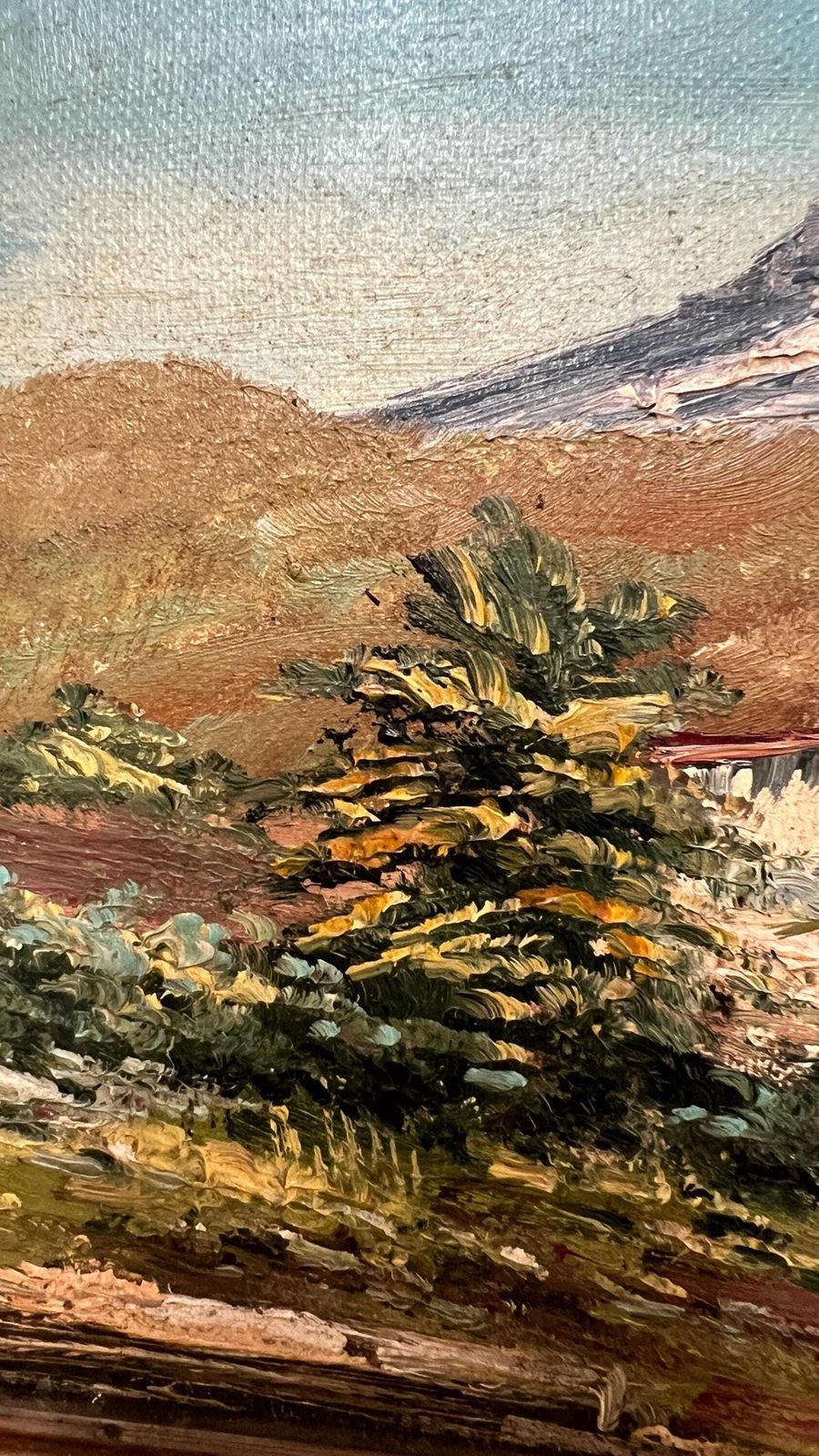 Signed Mid Century Oil On Canvas Board – Mountain Landscape With Village photo 119.0