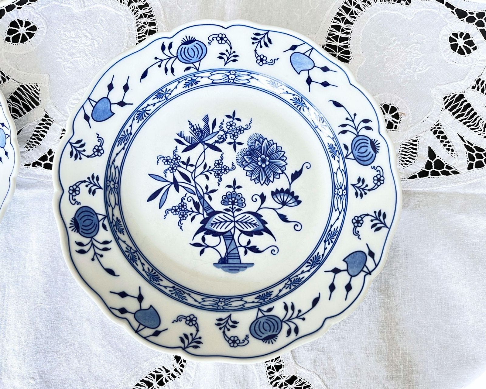 Blue Onion Antique Plates | 16pcs | Porcelain By Hutschenreuther photo for sale