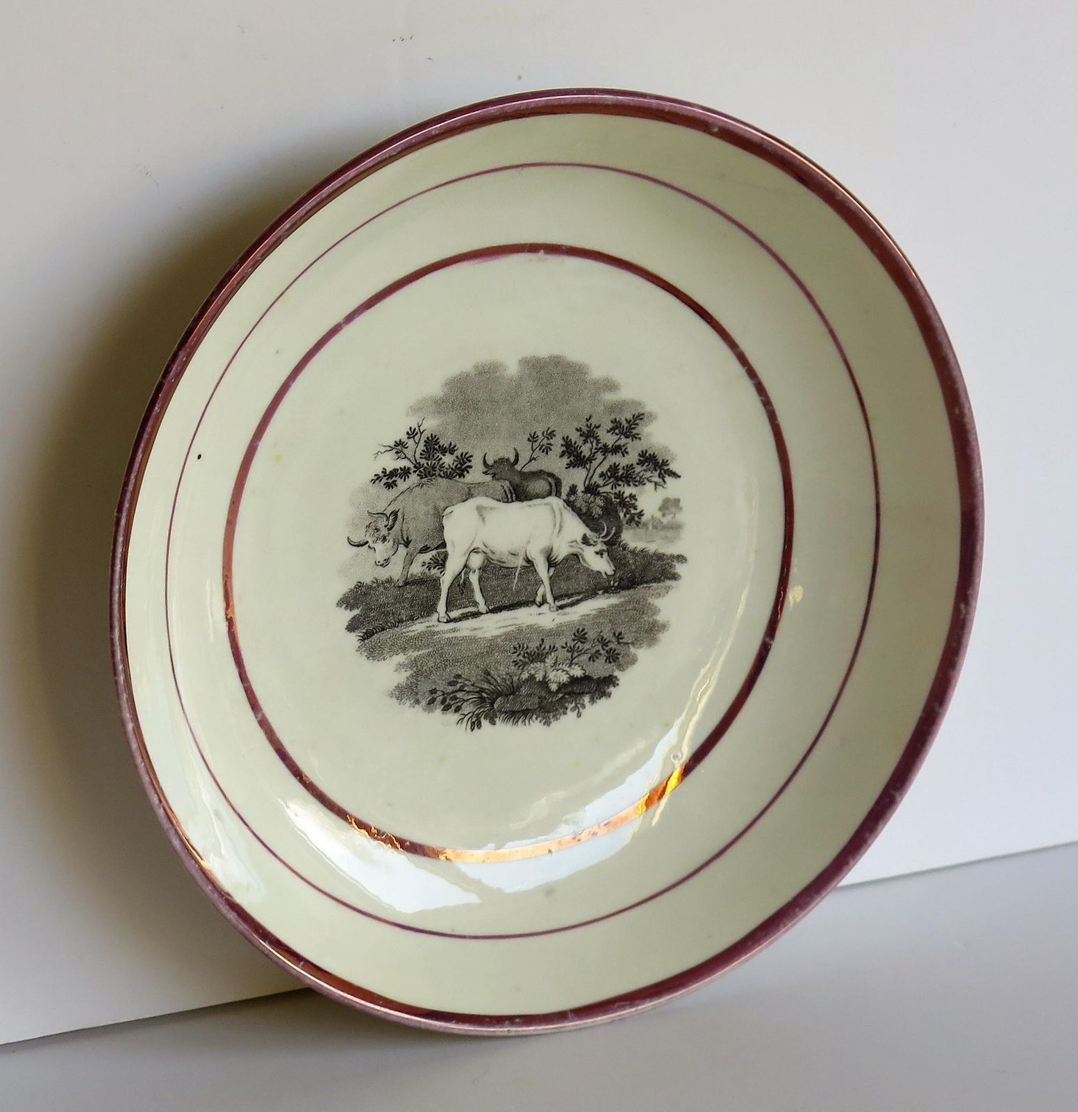 Georgian Sunderland Porcelain Lustre Dish Or Plate, English Early 19th Century photo vinterior