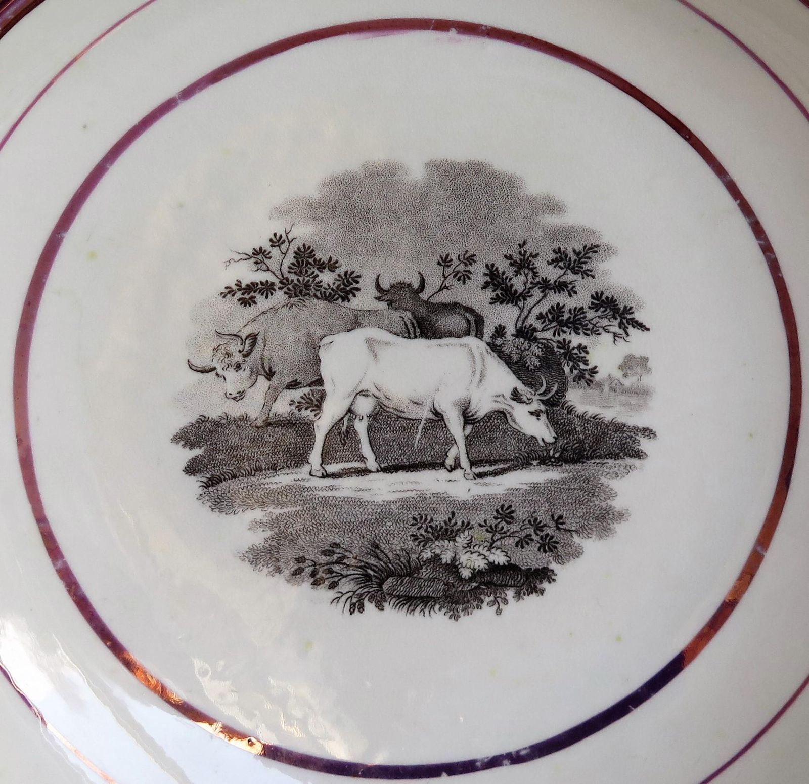 Home Decor Georgian Sunderland Porcelain Lustre Dish Or Plate, English Early 19th Century photo